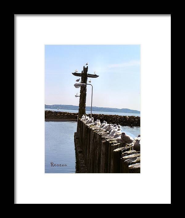 Birds Framed Print featuring the photograph Unemployment Line For Gulls by A L Sadie Reneau