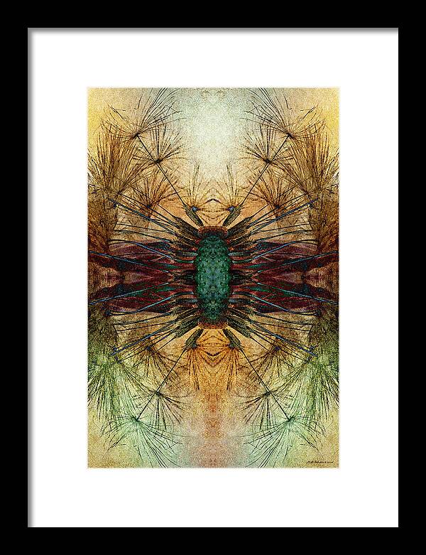 Dandelion Framed Print featuring the photograph Unseeded 23 by WB Johnston