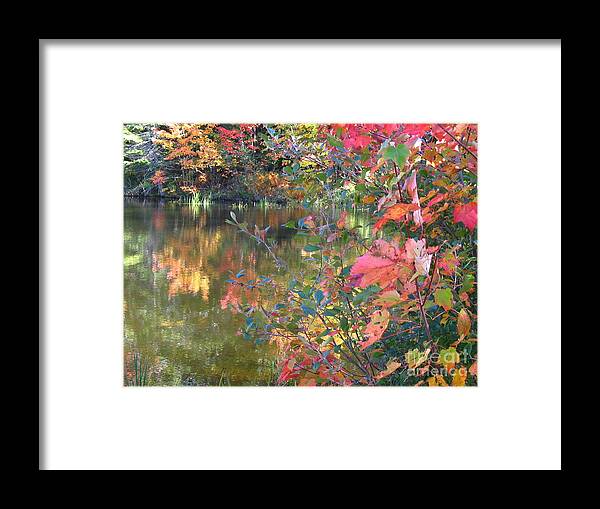 Calm Framed Print featuring the photograph We See The Light And Beauty by Sybil Staples