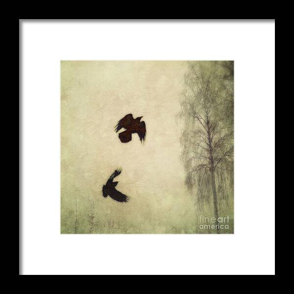 Raven Framed Print featuring the photograph Untitled by Priska Wettstein