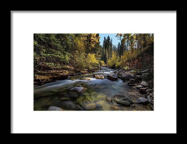 Fall Colors Framed Print featuring the photograph Up a Colorado Creek by Michael Ash