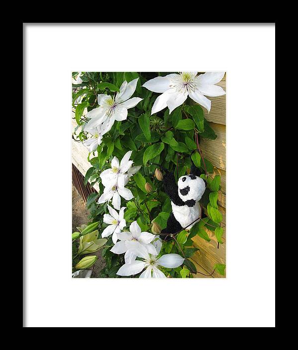 Baby Panda Framed Print featuring the photograph Up and up and up by Ausra Huntington nee Paulauskaite