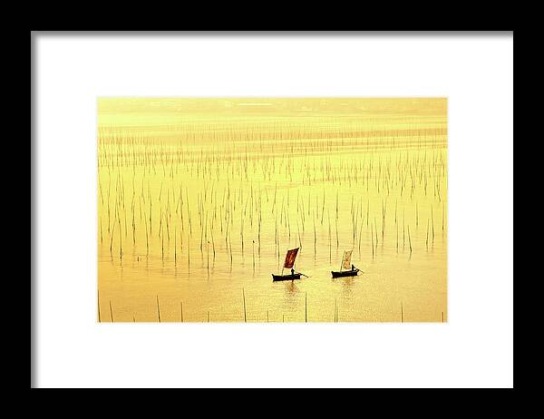 China Framed Print featuring the photograph Up at dawn. by Usha Peddamatham