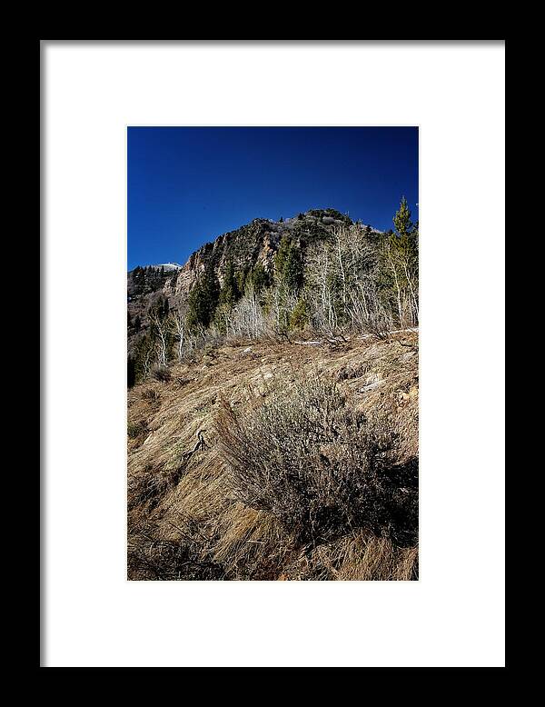 Up Framed Print featuring the photograph Up The Hill by Buck Buchanan