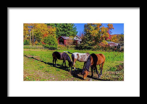 Upper Cox Brook Covered Bridge Framed Print featuring the photograph Upper Cox Brook Covered Bridge by Scenic Vermont Photography