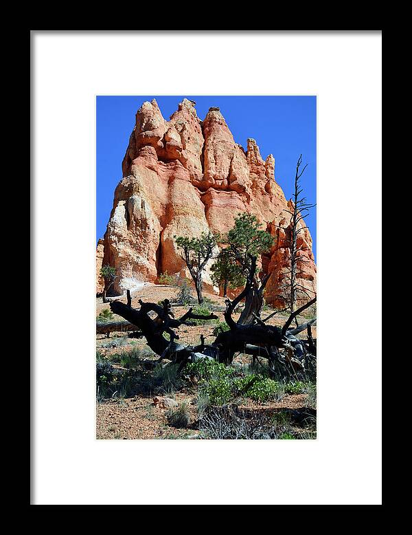 Bryce Framed Print featuring the photograph Upward by Bruce Gourley