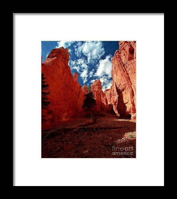 Bryce Canyon National Park Framed Print featuring the photograph Utah - Bryce Canyon by Terry Elniski