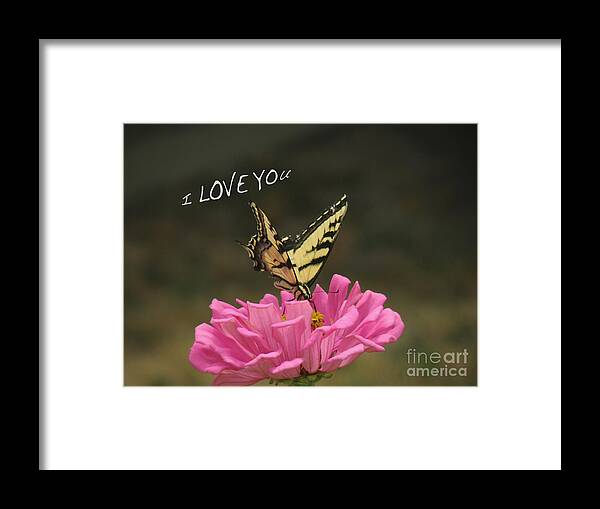 Valentine Framed Print featuring the pyrography Valentine Zinnia and the Swallowtail by Debby Pueschel