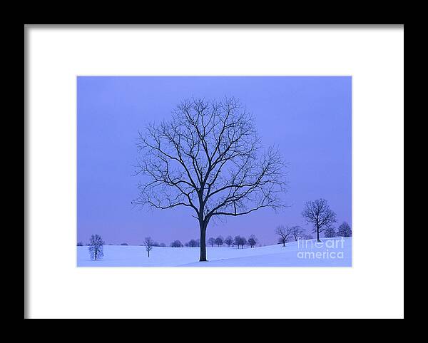 Valley Forge Framed Print featuring the photograph Valley Forge Nat'l Historical Park, PA by Kevin Shields