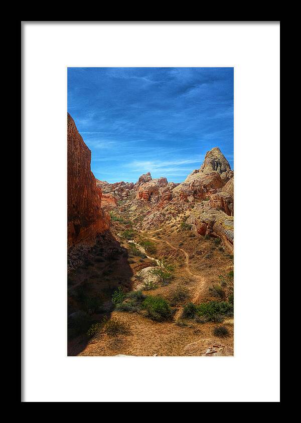 Valley Of Fire Framed Print featuring the photograph Valley of Fire 4 by Brook Burling