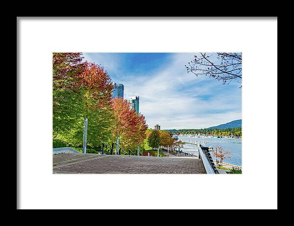 Fall Framed Print featuring the photograph Vancouver - Fall at Coal harbour by David Lee