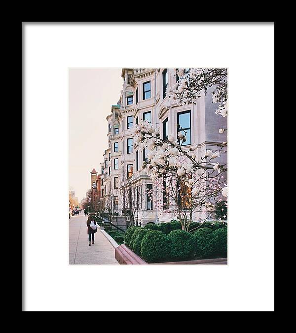  Framed Print featuring the photograph Vendome with magnolias by Brian McWilliams