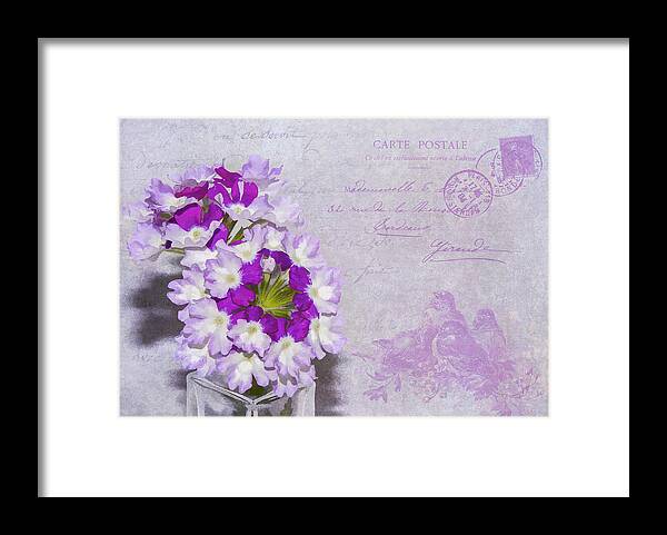 Flowers Framed Print featuring the photograph Verbena by Cathy Kovarik
