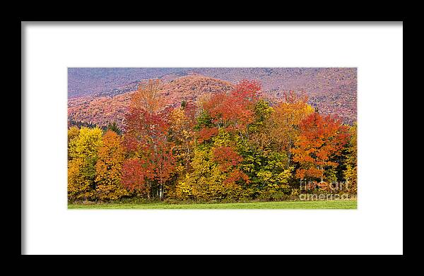Fall Framed Print featuring the photograph Vermont Fall Foliage Panorama by Alan L Graham