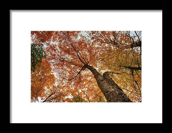 Autumn Foliage Framed Print featuring the photograph Vermont fall foliage views by Jeff Folger