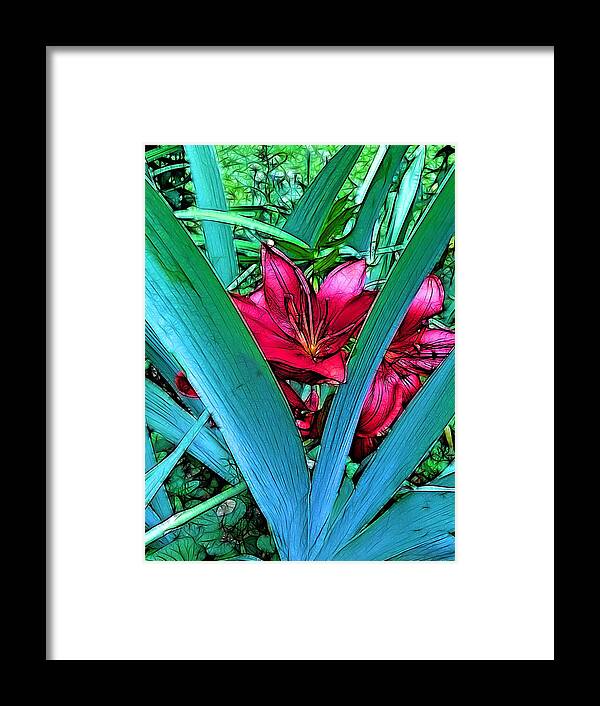 Lily Framed Print featuring the photograph Victory Garden by Nick Heap