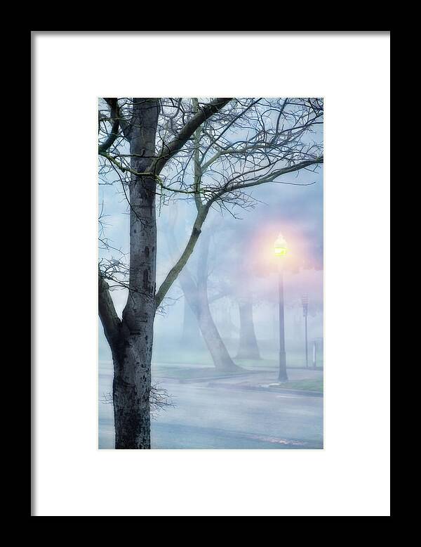 Park Framed Print featuring the digital art Victory Park in Fog by Terry Davis