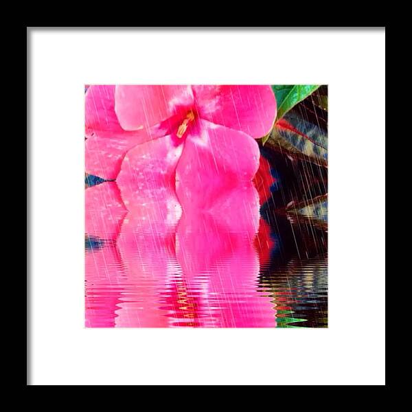 Ptk_flowers Framed Print featuring the photograph Video Created In #watermyphoto by Lisa Pearlman