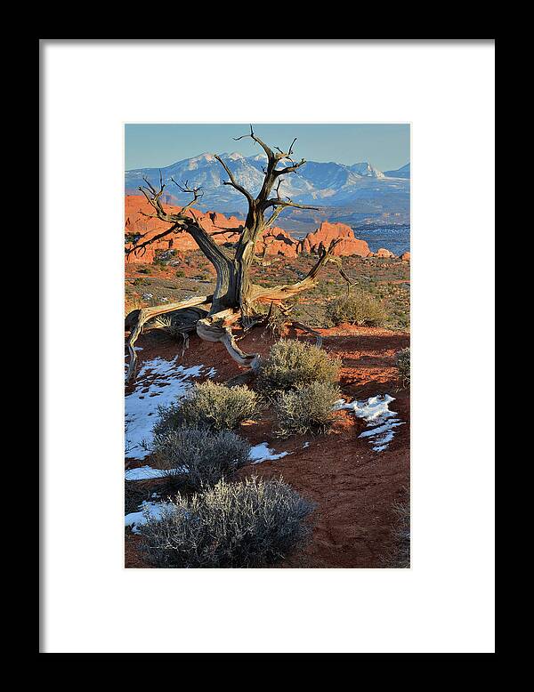 Arches National Park Framed Print featuring the photograph View along Park Road in Arches National Park by Ray Mathis