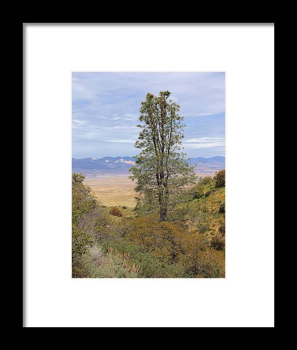 View From Pine Canyon Rd Framed Print featuring the photograph View From Pine Canyon Rd by Viktor Savchenko