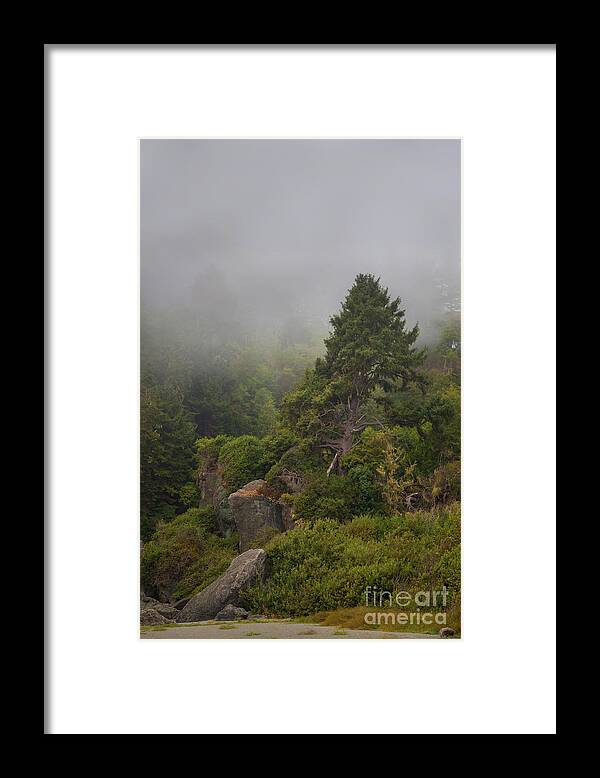 Tree Framed Print featuring the photograph View From The Beach by Mark Alder