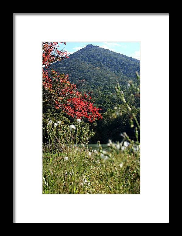 Lake Framed Print featuring the photograph View of Sharp Top in autumn by Emanuel Tanjala
