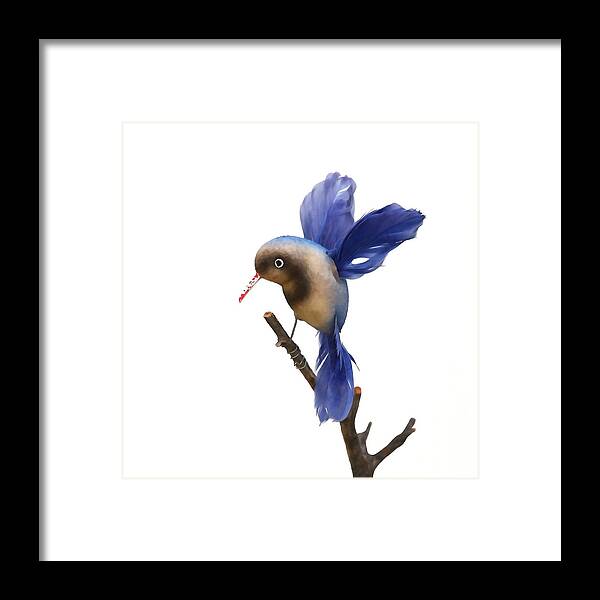 Hummingbird Framed Print featuring the photograph Vintage Blue Hummingbird by Art Block Collections