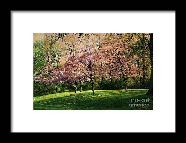 Dogwood Tree Framed Print featuring the photograph Vintage Dogwood Spring by Luther Fine Art