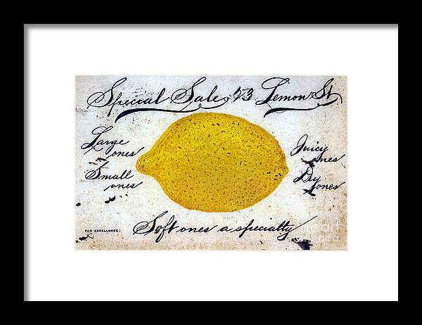 Lemon Framed Print featuring the painting Vintage Lemon Sign by Mindy Sommers