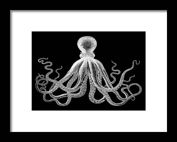Octopus Framed Print featuring the digital art Vintage Octopus by Eclectic at Heart