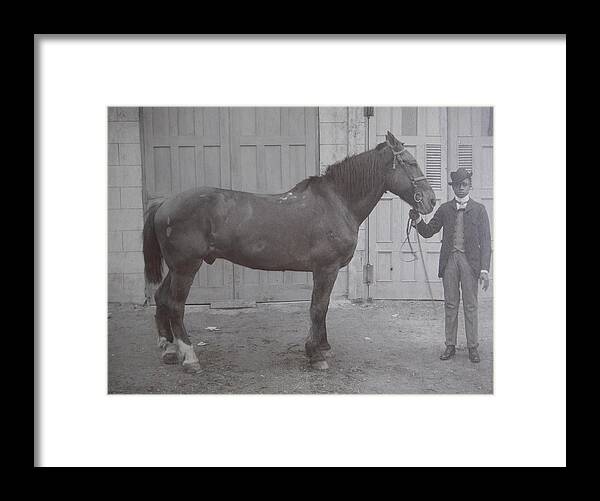 Horse Framed Print featuring the photograph Vintage Photograph 1902 Horse with Handler New Bern NC Area by Virginia Coyle