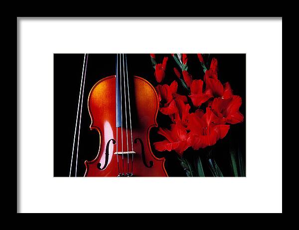 Violin Framed Print featuring the photograph Violin and red gladiolus by Garry Gay