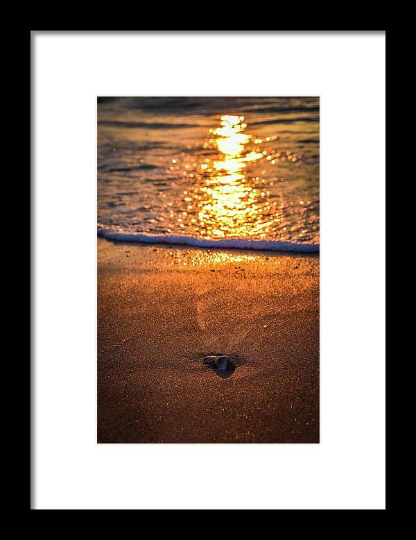 Virginia Beach Framed Print featuring the photograph Virginia Beach Summer Sunrise 40 by Larkin's Balcony Photography