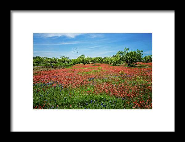 Springtime Framed Print featuring the photograph Visions of Springtime by Lynn Bauer