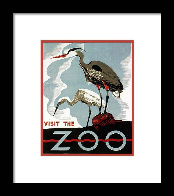Visit The Zoo Egrets Framed Print featuring the digital art Visit The Zoo Egrets by Unknow