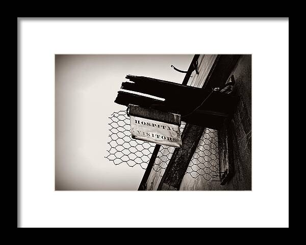 Visitors Framed Print featuring the photograph Visitors by Dark Whimsy