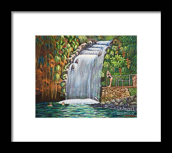Annandale Waterfall Framed Print featuring the painting Visitors To The Falls by Laura Forde