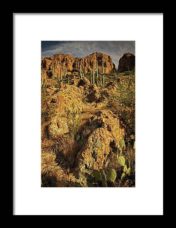 Desert Framed Print featuring the photograph Vista in the Desert mx by Theo O'Connor