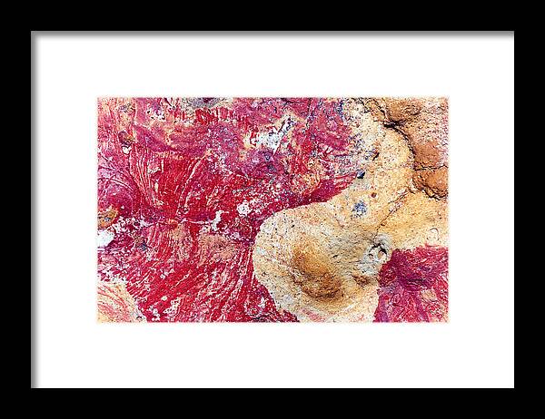 Colors Framed Print featuring the photograph Vivid Colors by Amarildo Correa