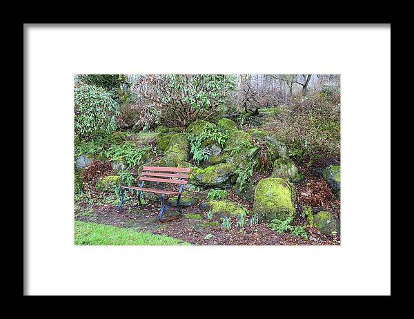 Garden Framed Print featuring the photograph Vivid Memories by Lorraine Baum