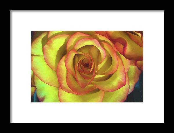 Topaz Impressions Framed Print featuring the photograph Vivid Rose by John Roach