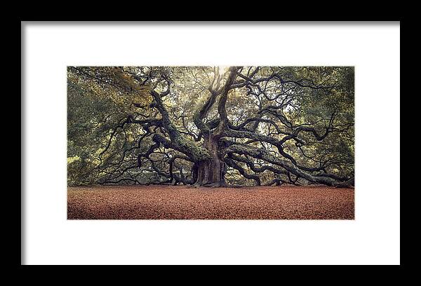 Angel Oak Tree Framed Print featuring the photograph Voices of the Angels by Magda Bognar
