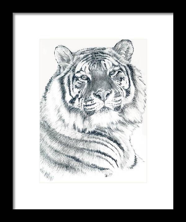 Tiger Framed Print featuring the drawing Voyager by Barbara Keith