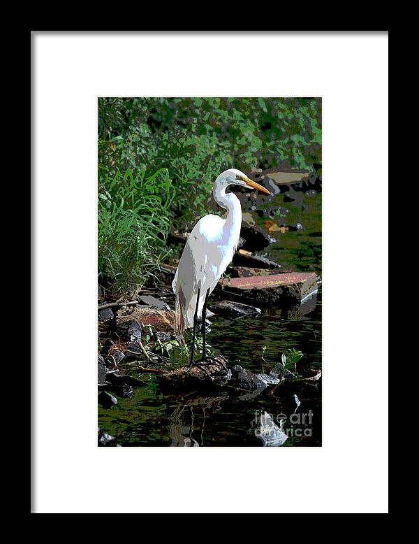 White Bird Framed Print featuring the digital art Wading Bird # 3 Standing on a Log by Jack Ader