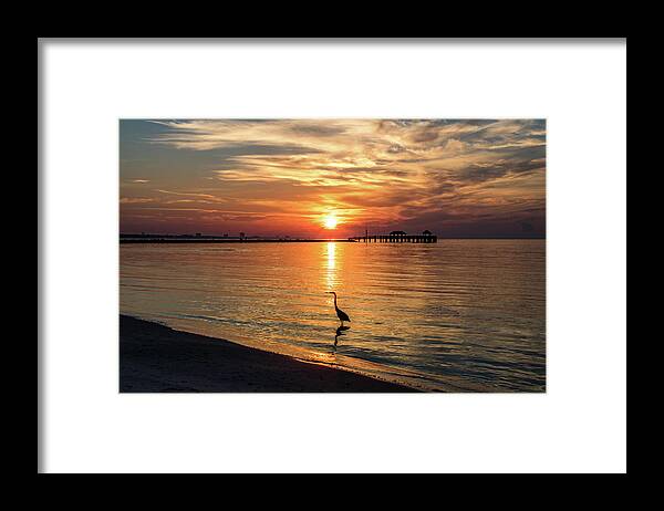 Shorebirds Framed Print featuring the photograph Wading Heron At Sunrise by JASawyer Imaging