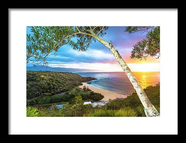 Waimea Bay Tree Hawaii Framed Print featuring the photograph Waimea Bay Tree by Leonardo Dale