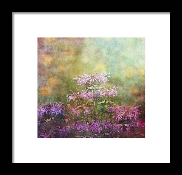Impressionist Framed Print featuring the photograph Waiting For Bees 2675 IDP_2 by Steven Ward