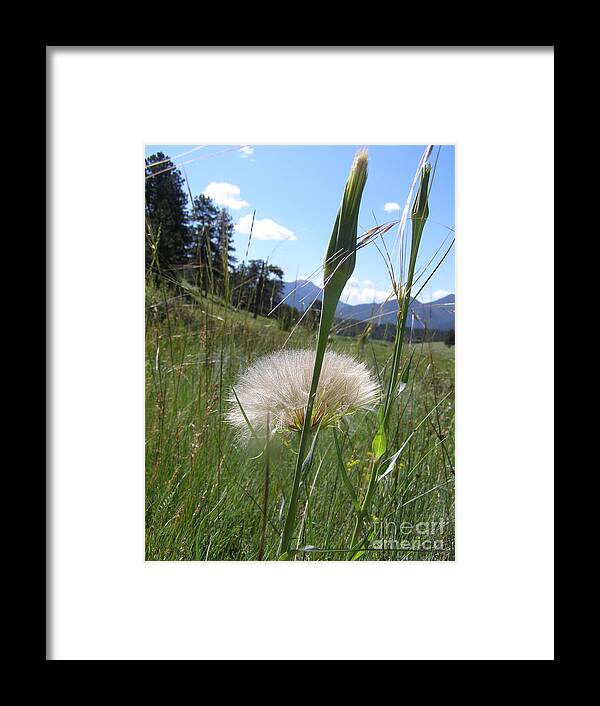 Rockie Mountain National Park Framed Print featuring the photograph Waiting for the wind by Alan Johnson