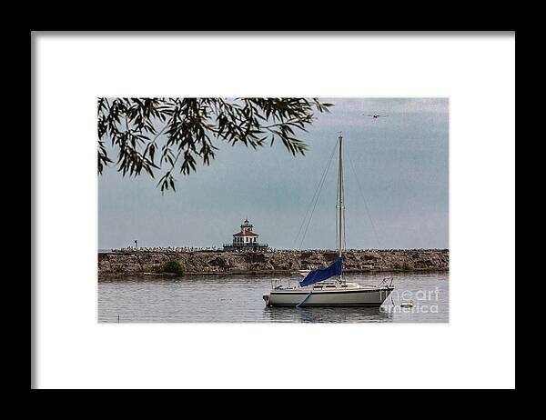 Sailing Framed Print featuring the photograph Waiting for Wind by Rod Best