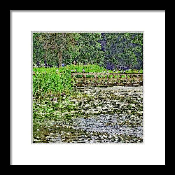 Pond Framed Print featuring the digital art Waiting by Lessandra Grimley